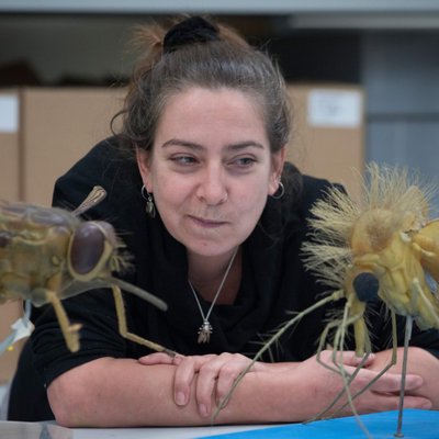 Dr Erica McAlister's profile picture