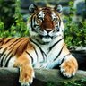 Kerem Kaya's profile picture