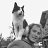 Lucas's profile picture