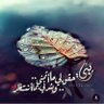 ام الوليد 的头像