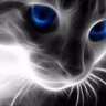 NBARSInMyLife's profile picture