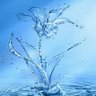 水の記憶R profil fotoğrafı