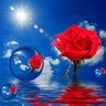Фото профиля 🌹Pretty_Baby_Roze🌹