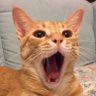 terry's profile picture