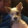 Tom Brown's profile picture