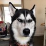 埃塞俄比亚大长脸's profile picture