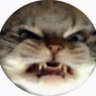 Stardyn the Cat *Bahamut is not welcomed here* profil fotoğrafı