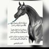 Фото профиля الفجر الجديد