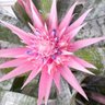 Фото профиля Claire de Laare