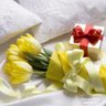 Фото профиля عبد الرحمن الشنقيطي