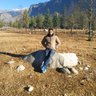 Profilbild von Naumish Mehta