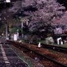 山岡山's profile picture