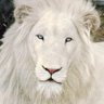 Jon Smith's profile picture