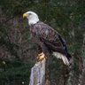 Miles Promenchenkel's profile picture