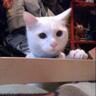 Profilbild von noza