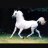 Фото профиля Assad Ben