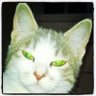 Bob's profile picture