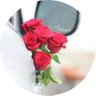 قيثارة الشمال،، profil fotoğrafı