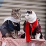 夜行さん's profile picture