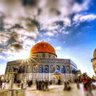 عرفات القادري 的头像
