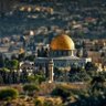 Фото профиля tilmizetun🇵🇸