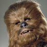 Profilbild von Wookee