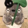 なおっぴ 的头像