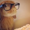 SunnyDay's profile picture