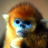 Nicholas R. Kent profil fotoğrafı