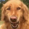 Profilbild von top47
