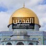 Mohammed Aburayya profil fotoğrafı