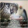 البرنس's profile picture