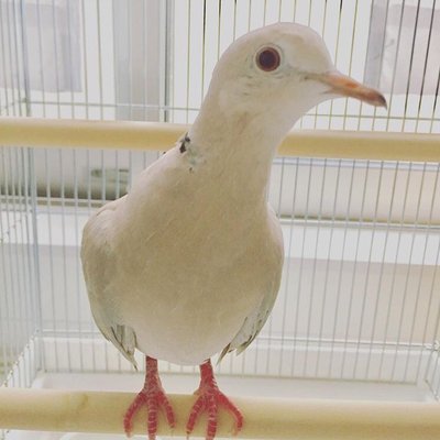 Michael_juz's profile picture