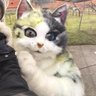 山田 三毛猫 的头像