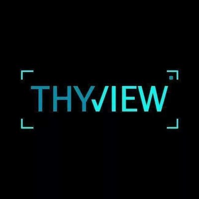 Thyview's profile picture