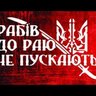 Дмитро Павлович 的头像