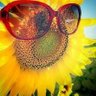 sunshine's profile picture