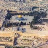 Фото профиля حمد المحاربي