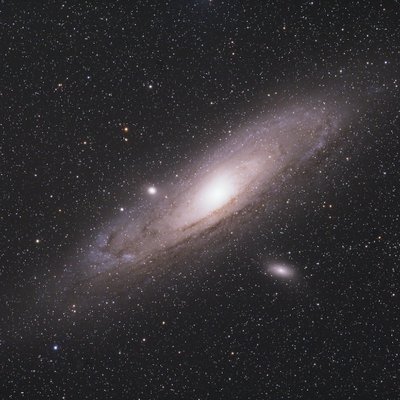 NEWTON_13's profile picture