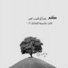 Azaldeen Al-Rabieei 的头像