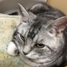 ひで's profile picture