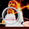 ابومشاري الزهراني🇸🇦 的头像