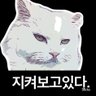 지켜보고있ㄷㅏ's profile picture