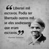 Liberdade 🇧🇷🚩 的头像