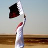 محمّد بن علي MBA 🇩🇿🇶🇦🇹🇳's profile picture