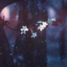 Фото профиля ديم
