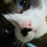 里's profile picture
