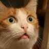 masaru profil fotoğrafı