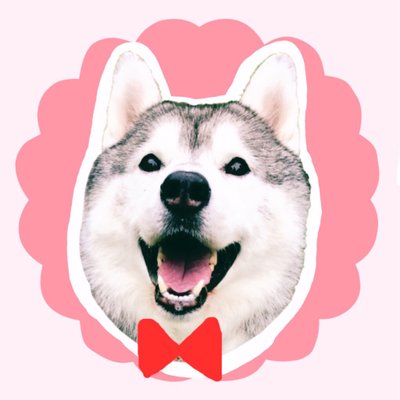 pupipupi_pupipi's profile picture