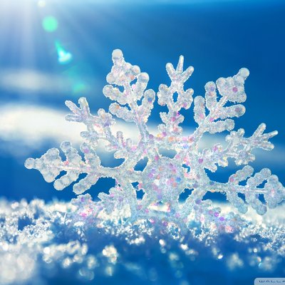 Yuki_flakes63's profile picture
